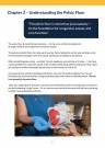 Kompendie • Demistifying the Pelvic Floor thumbnail
