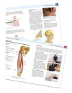 Bok | Sports Medicine Acupuncture • Av Matt Callison, L.Ac. thumbnail