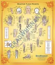 Plakat/Poster Master Tung Points (points chart) 70x100cm thumbnail