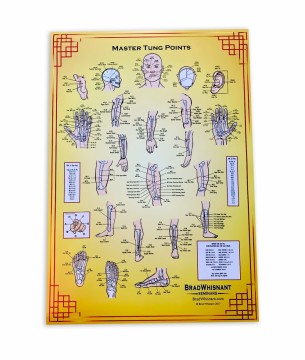 Plakat/Poster Master Tung Points (points chart) 70x100cm