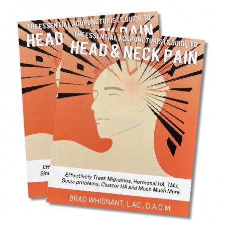 The Essential Acupuncturists guide to Head and Neck Pain